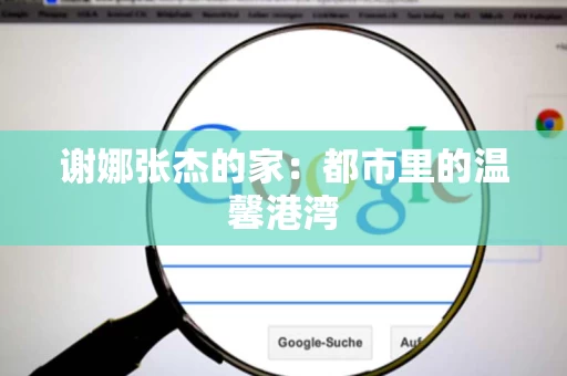 谢娜张杰的家:都市里的温馨港湾 谢娜张杰的家:都市里的温馨港湾