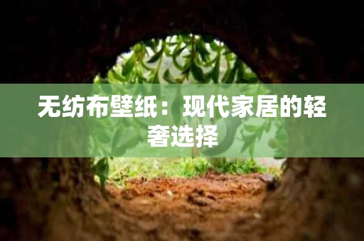 无纺布壁纸:现代家居的轻奢选择 无纺布壁纸:现代家居的轻奢选择