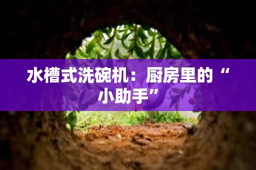 水槽式洗碗机:厨房里的“小助手” 水槽式洗碗机:厨房里的“小助手”
