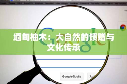 缅甸柚木：大自然的馈赠与文化传承