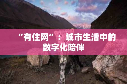 “有住网”:城市生活中的数字化陪伴 “有住网”:城市生活中的数字化陪伴