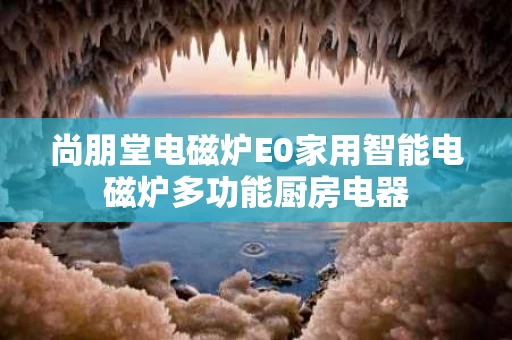 尚朋堂电磁炉E0家用智能电磁炉多功能厨房电器 尚朋堂电磁炉E0家用智能电磁炉多功能厨房电器