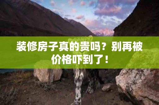 装修房子真的贵吗?别再被价格吓到了! 装修房子真的贵吗?别再被价格吓到了!