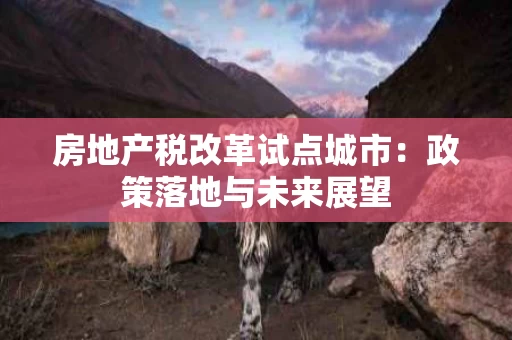 房地产税改革试点城市：政策落地与未来展望