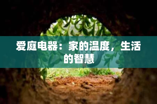 爱庭电器:家的温度,生活的智慧 爱庭电器:家的温度,生活的智慧