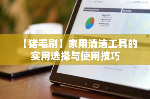 【猪毛刷】家用清洁工具的实用选择与使用技巧