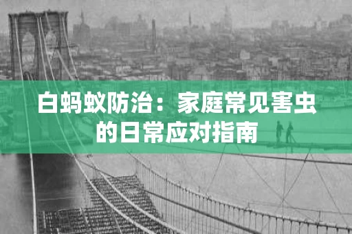 白蚂蚁防治：家庭常见害虫的日常应对指南
