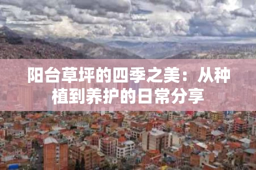 阳台草坪的四季之美：从种植到养护的日常分享