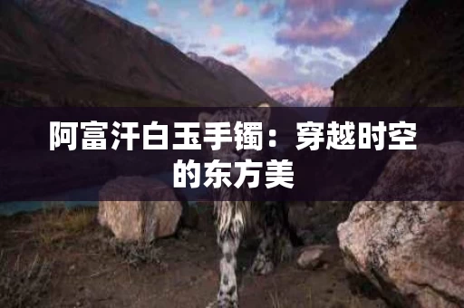 阿富汗白玉手镯：穿越时空的东方美