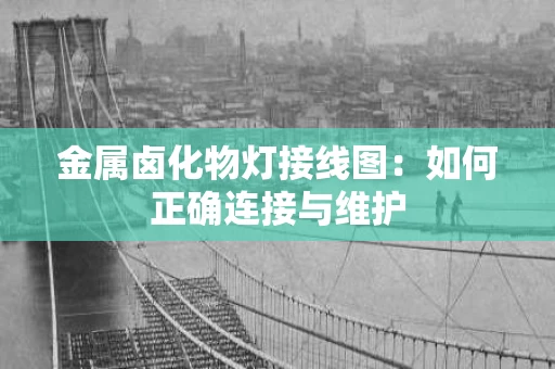 金属卤化物灯接线图：如何正确连接与维护