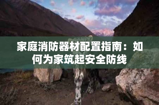 家庭消防器材配置指南:如何为家筑起安全防线 家庭消防器材配置指南:如何为家筑起安全防线