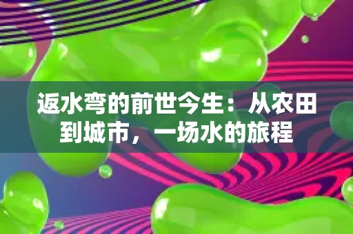 返水弯的前世今生:从农田到城市,一场水的旅程 返水弯的前世今生:从农田到城市,一场水的旅程