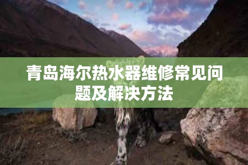 青岛海尔热水器维修常见问题及解决方法 青岛海尔热水器维修常见问题及解决方法