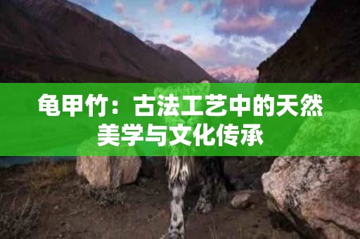 龟甲竹：古法工艺中的天然美学与文化传承