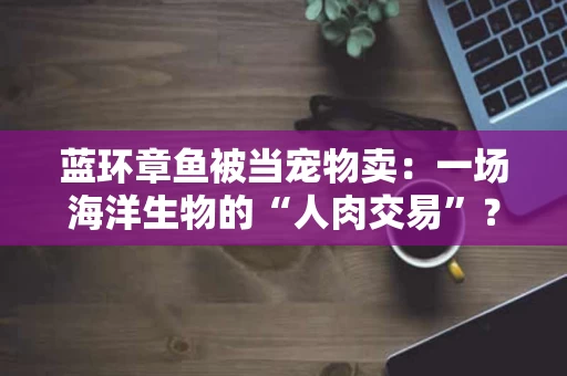 蓝环章鱼被当宠物卖：一场海洋生物的“人肉交易”？