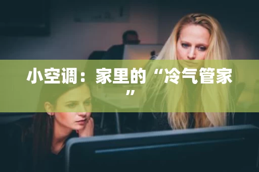 小空调：家里的“冷气管家”