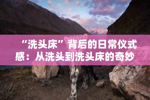 “洗头床”背后的日常仪式感：从洗头到洗头床的奇妙体验