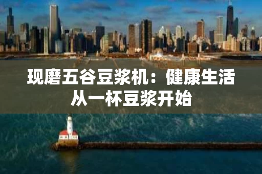 现磨五谷豆浆机：健康生活从一杯豆浆开始