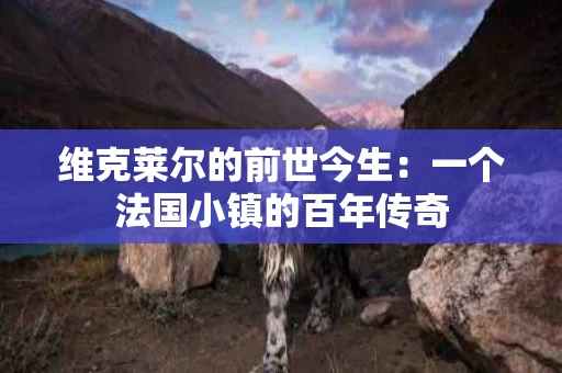 维克莱尔的前世今生：一个法国小镇的百年传奇