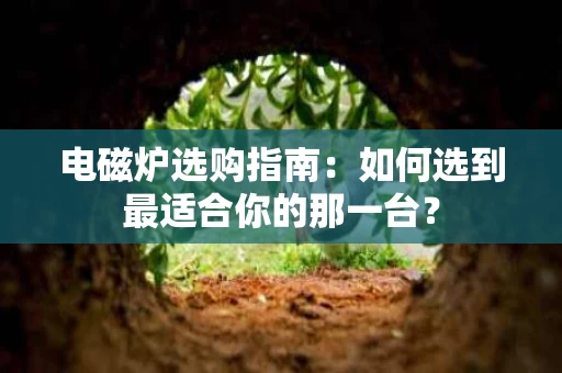 电磁炉选购指南：如何选到最适合你的那一台？