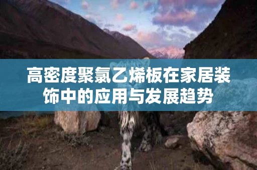 高密度聚氯乙烯板在家居装饰中的应用与发展趋势