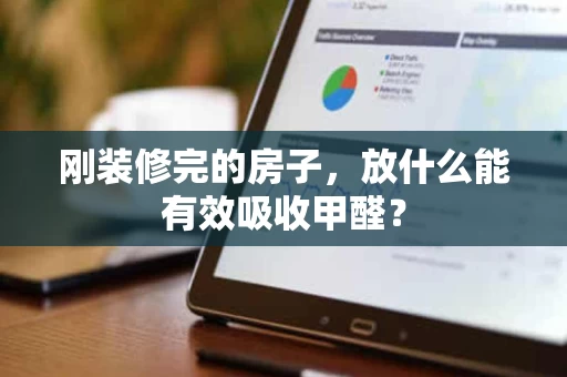 刚装修完的房子，放什么能有效吸收甲醛？