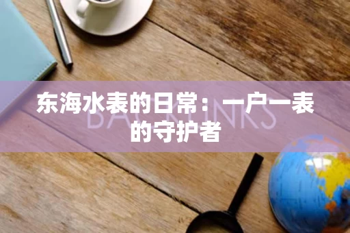 东海水表的日常：一户一表的守护者