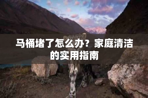 马桶堵了怎么办？家庭清洁的实用指南