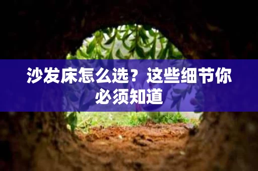 沙发床怎么选？这些细节你必须知道