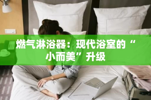 燃气淋浴器：现代浴室的“小而美”升级