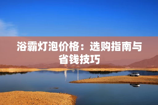 浴霸灯泡价格：选购指南与省钱技巧