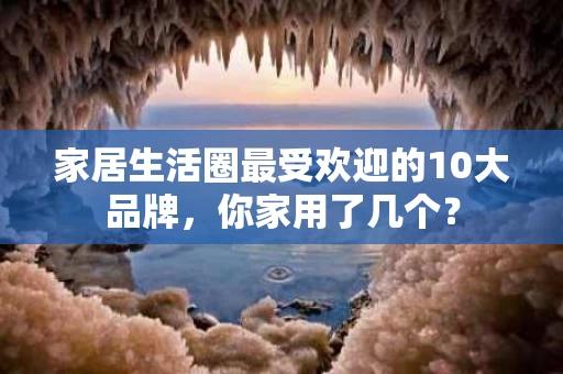 家居生活圈最受欢迎的10大品牌，你家用了几个？