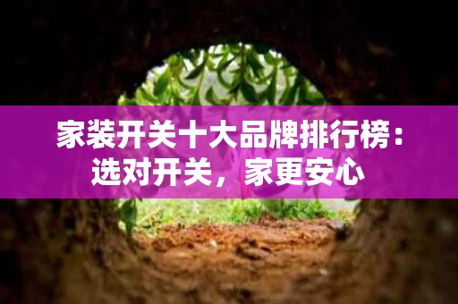 家装开关十大品牌排行榜：选对开关，家更安心