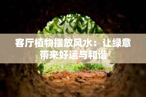 客厅植物摆放风水：让绿意带来好运与和谐