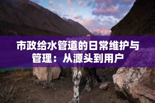 市政给水管道的日常维护与管理：从源头到用户