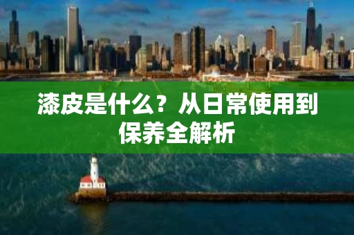漆皮是什么？从日常使用到保养全解析