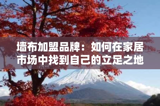墙布加盟品牌：如何在家居市场中找到自己的立足之地