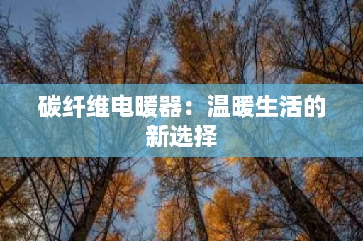 碳纤维电暖器：温暖生活的新选择