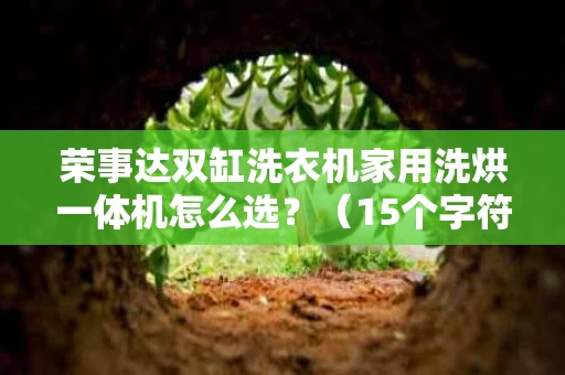 荣事达双缸洗衣机家用洗烘一体机怎么选？（15个字符）