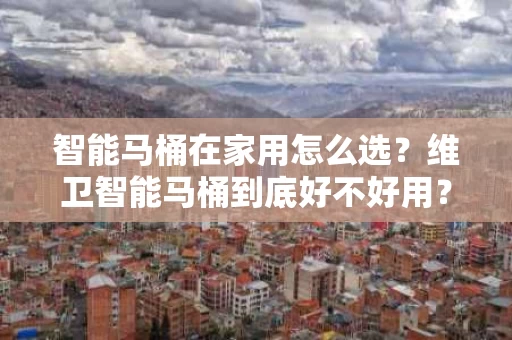 智能马桶在家用怎么选？维卫智能马桶到底好不好用？
