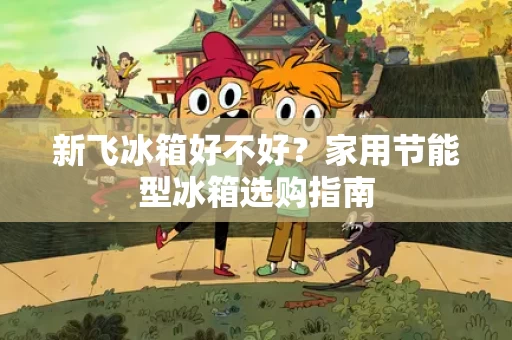 新飞冰箱好不好？家用节能型冰箱选购指南