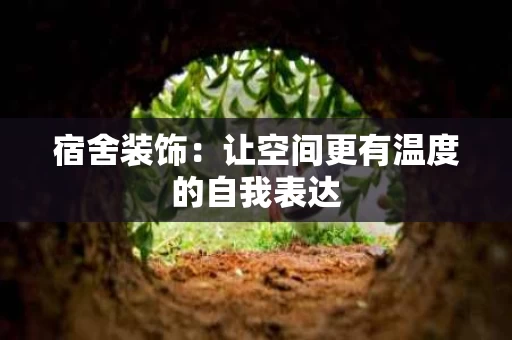 宿舍装饰：让空间更有温度的自我表达