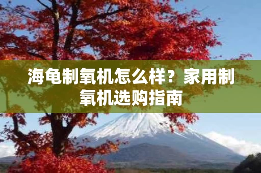 海龟制氧机怎么样？家用制氧机选购指南
