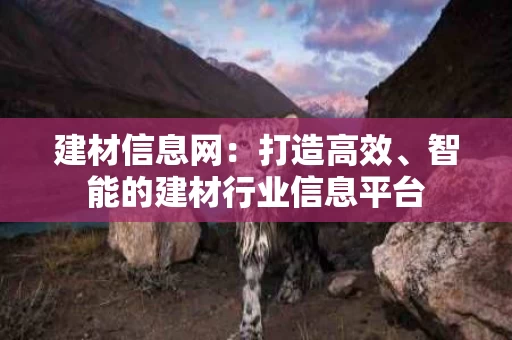 建材信息网：打造高效、智能的建材行业信息平台