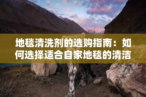 地毯清洗剂的选购指南：如何选择适合自家地毯的清洁产品