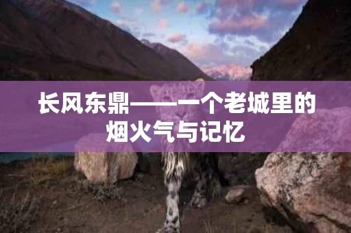 长风东鼎——一个老城里的烟火气与记忆