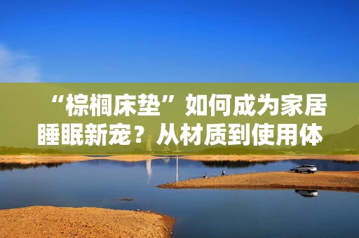 “棕榈床垫”如何成为家居睡眠新宠？从材质到使用体验全解析