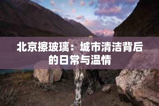 北京擦玻璃：城市清洁背后的日常与温情