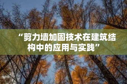 “剪力墙加固技术在建筑结构中的应用与实践”