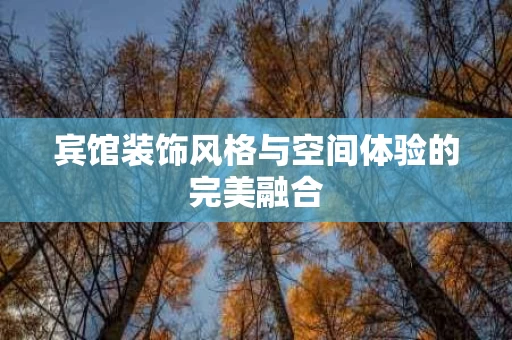 宾馆装饰风格与空间体验的完美融合